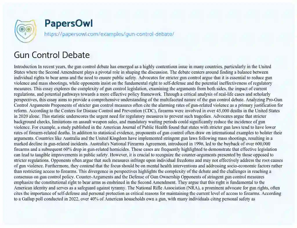 Essay on Gun Control Debate