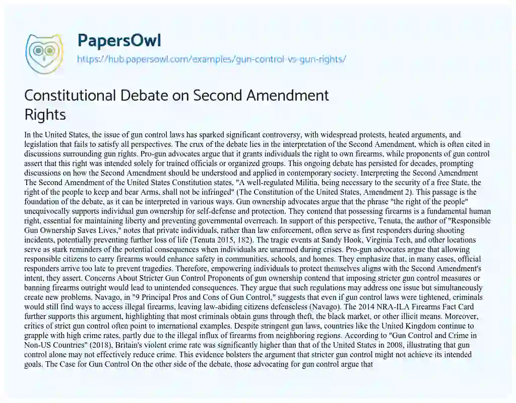 Essay on Constitutional Debate on Second Amendment Rights