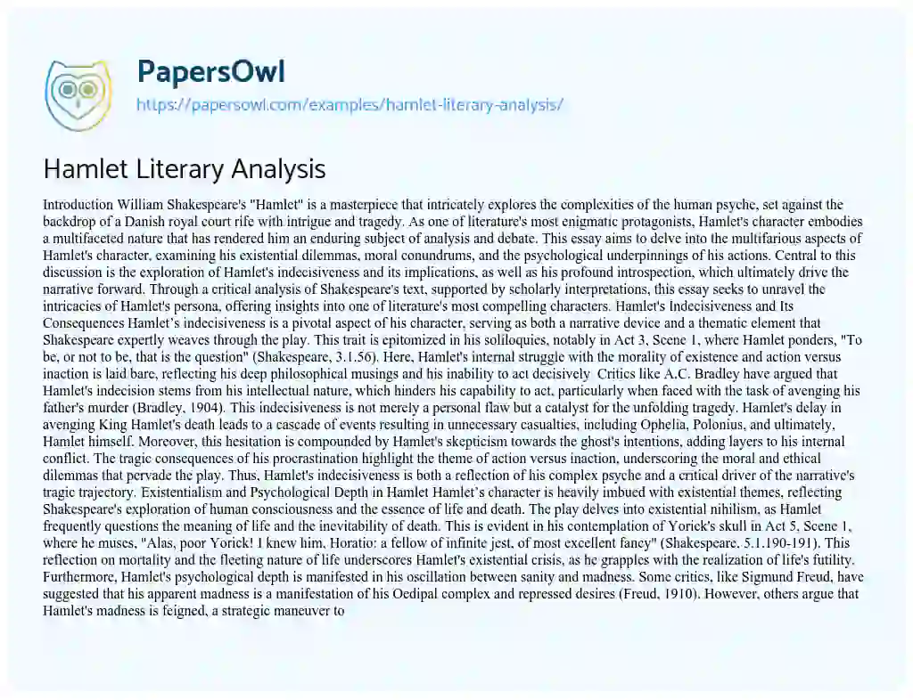 Essay on Hamlet Literary Analysis