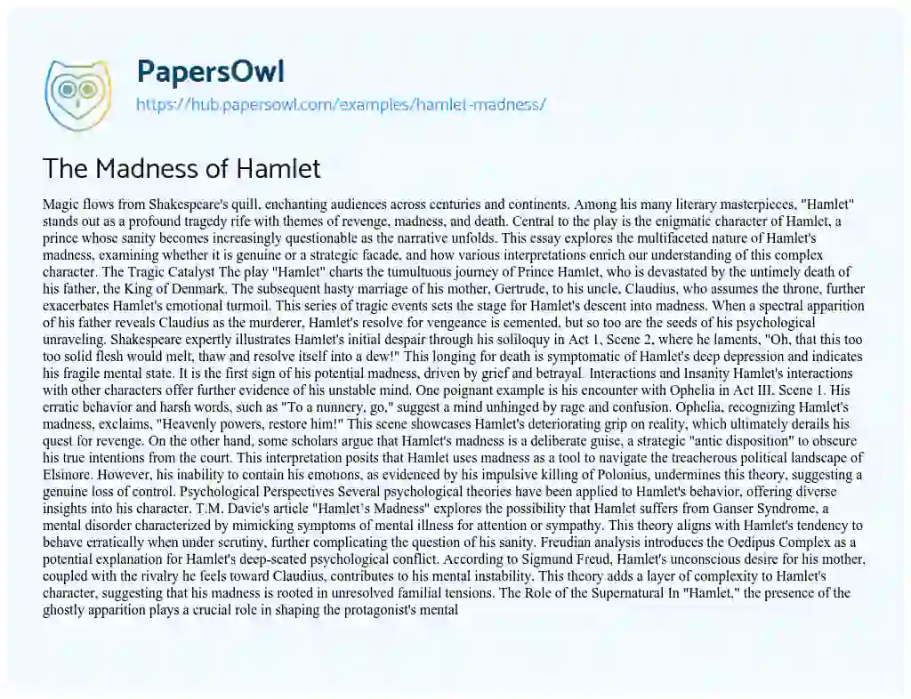 Essay on The Madness of Hamlet