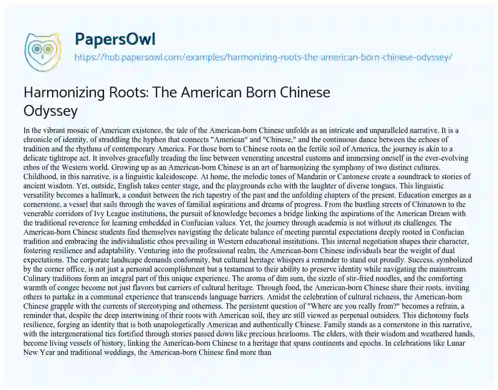 Essay on Harmonizing Roots: The American Born Chinese Odyssey