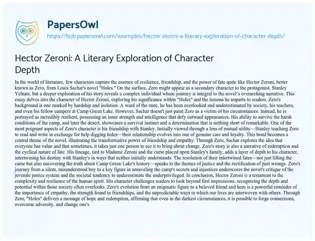 Essay on Hector Zeroni: A Literary Exploration of Character Depth