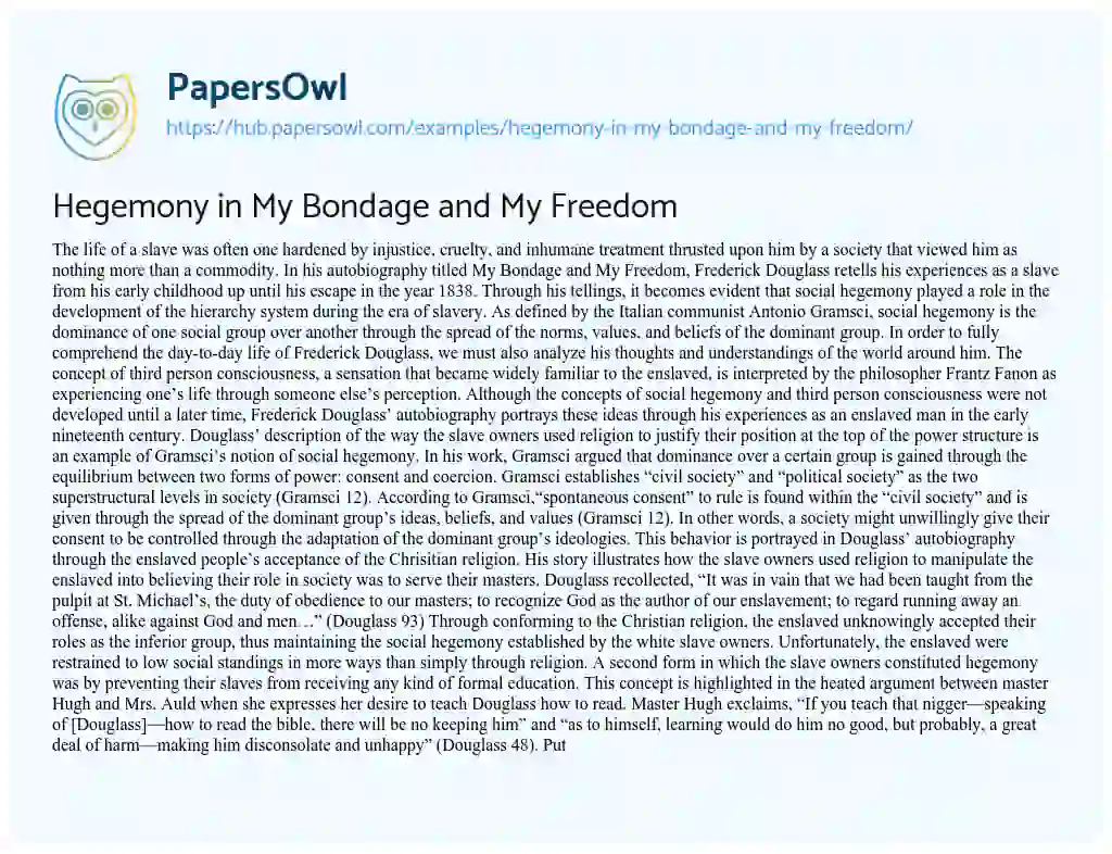 Essay on Hegemony in My Bondage and My Freedom