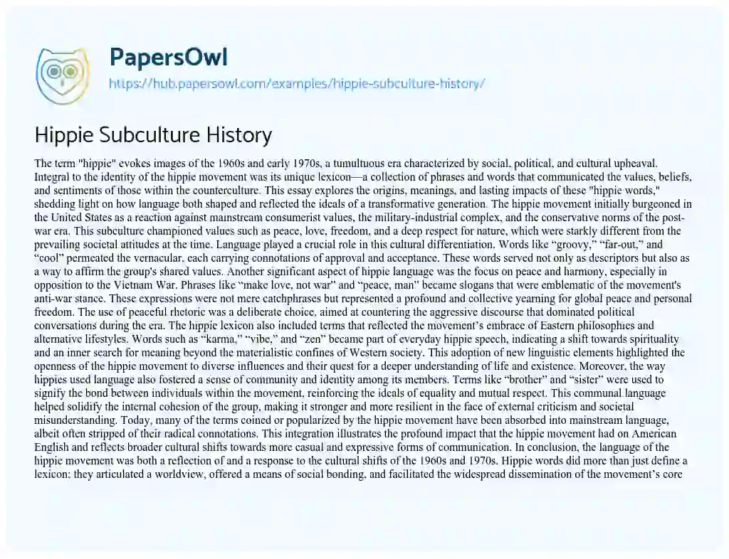 Essay on Hippie Subculture History