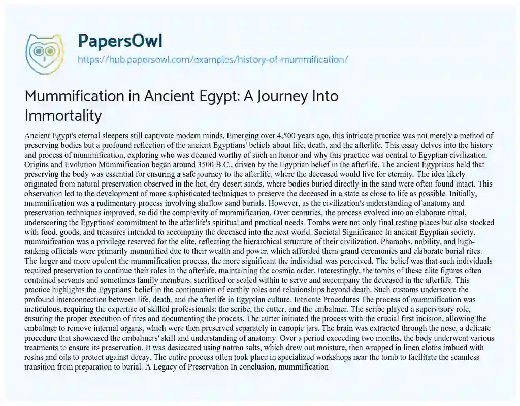 Essay on Mummification in Ancient Egypt: A Journey Into Immortality