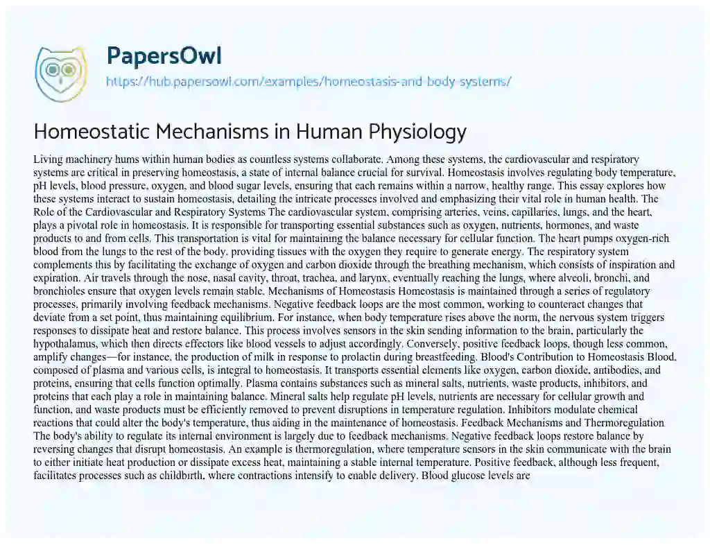 Essay on Homeostatic Mechanisms in Human Physiology
