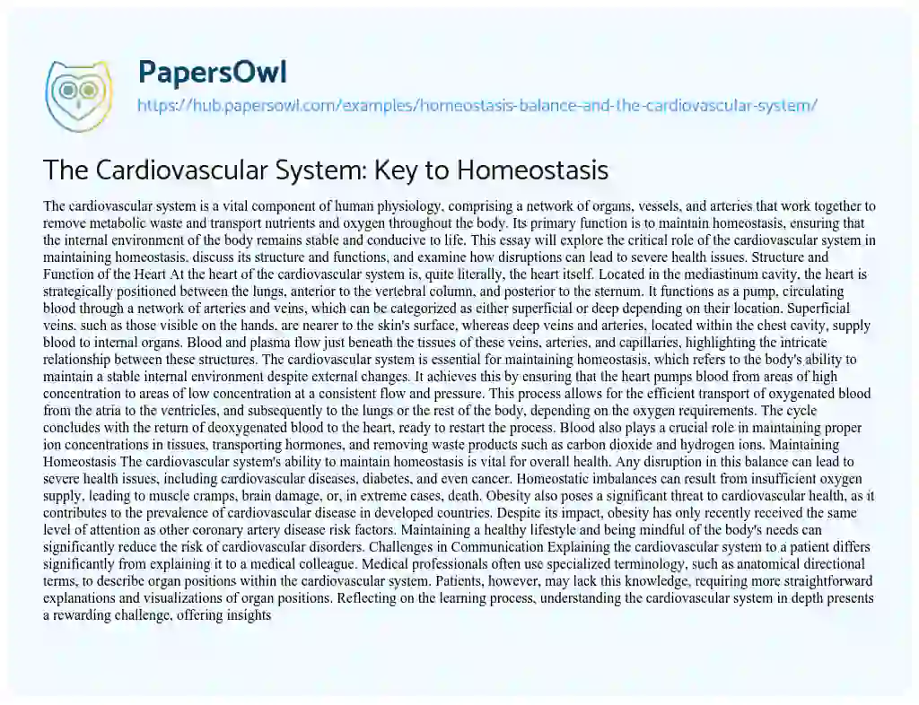 Essay on The Cardiovascular System: Key to Homeostasis