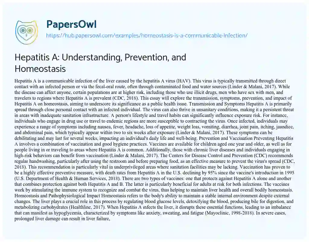 Essay on Hepatitis A: Understanding, Prevention, and Homeostasis