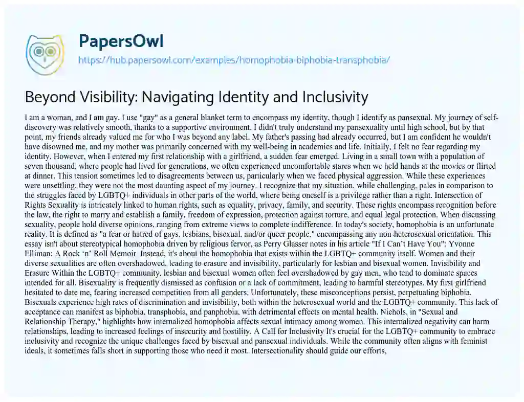 Essay on Beyond Visibility: Navigating Identity and Inclusivity