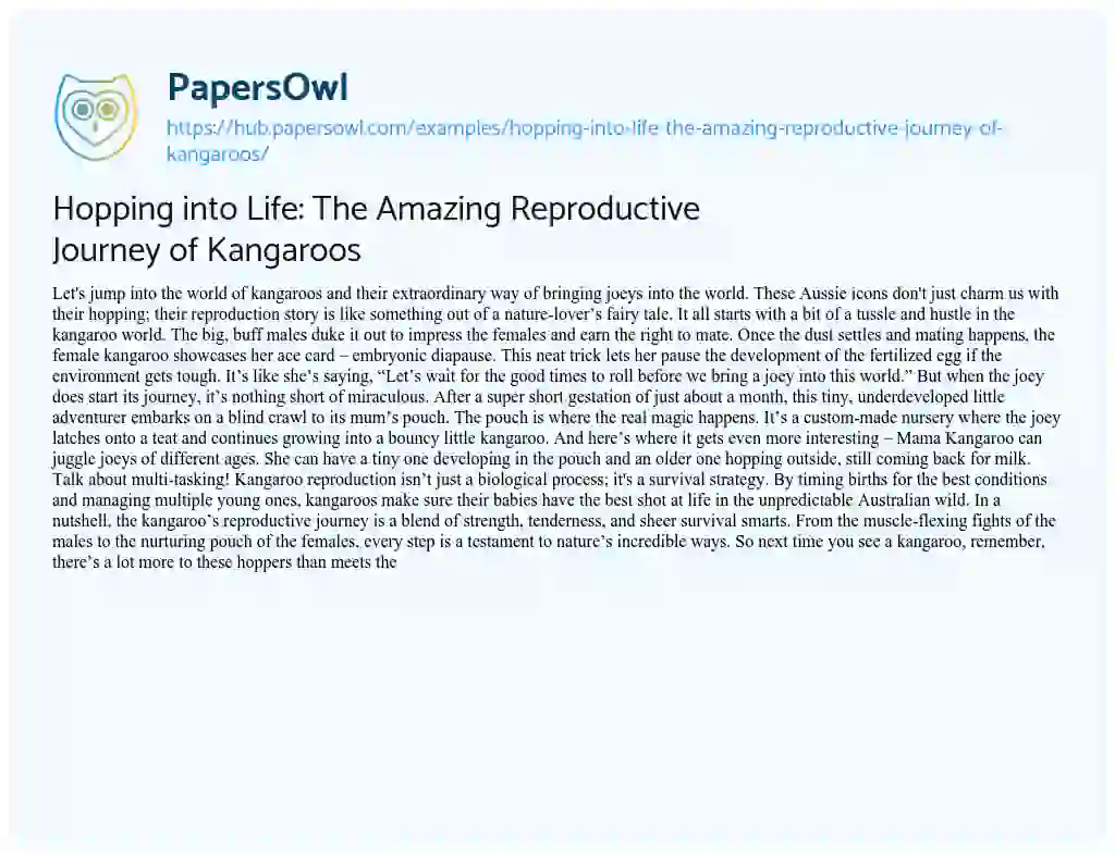 Essay on Hopping into Life: The Amazing Reproductive Journey of Kangaroos