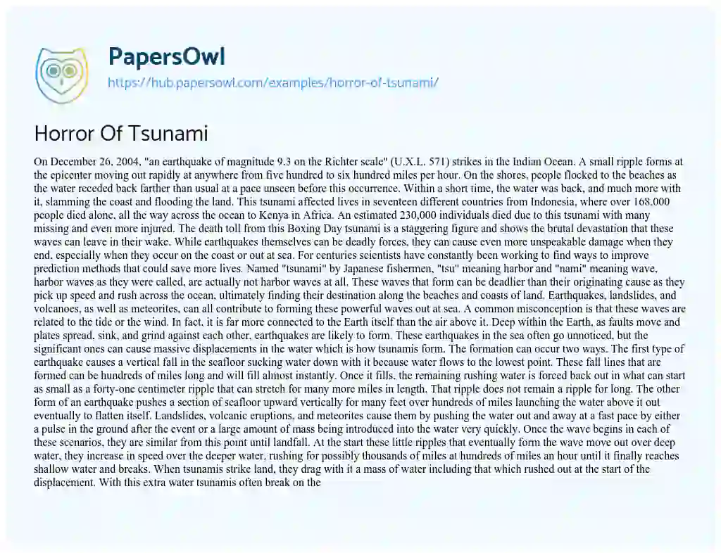 Essay on Horror Of Tsunami