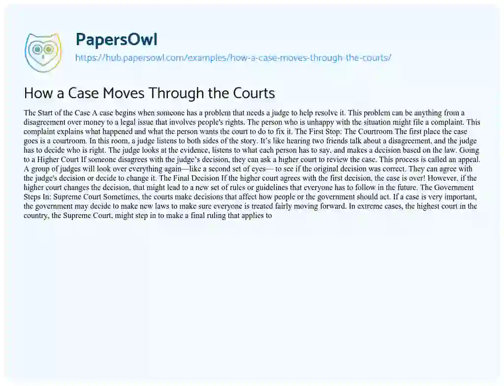 Essay on How a Case Moves Through the Courts
