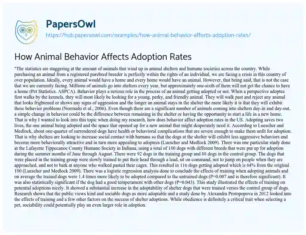 Essay on How Animal Behavior Affects Adoption Rates