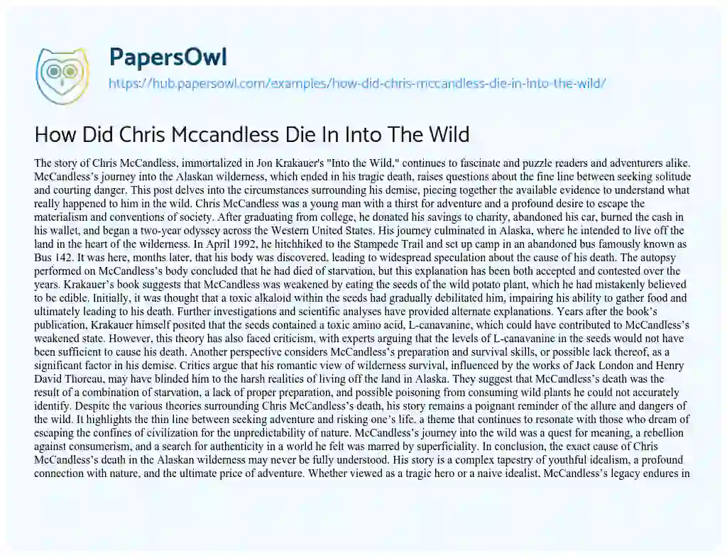 Essay on How Did Chris Mccandless Die In Into The Wild