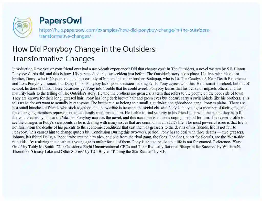 Essay on How Did Ponyboy Change in the Outsiders: Transformative Changes