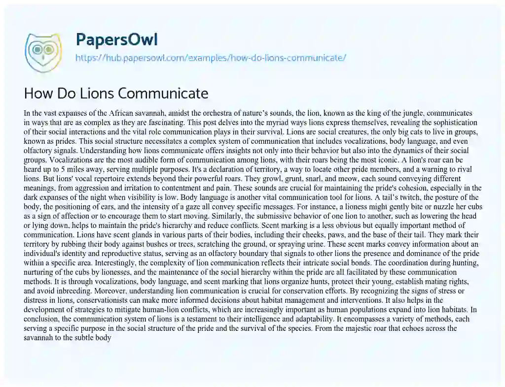 Essay on How Do Lions Communicate