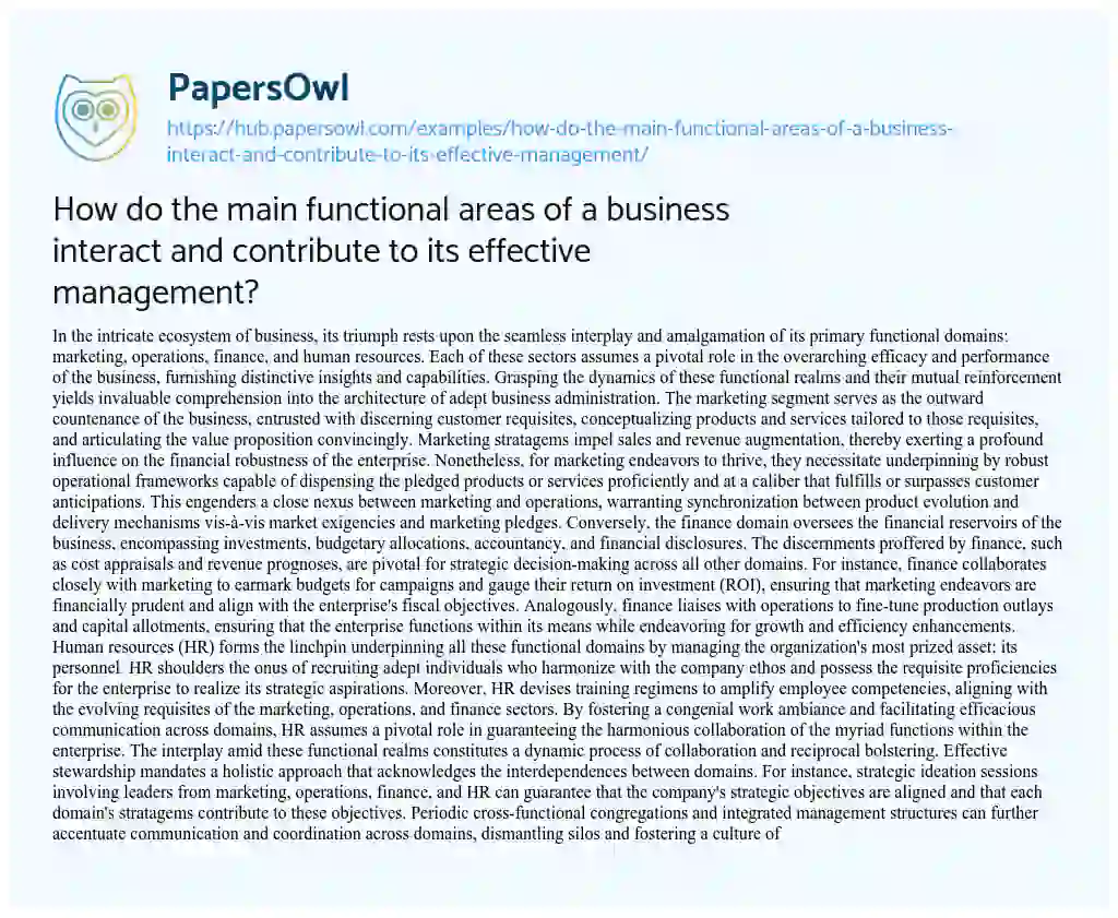 Essay on How do the main functional areas of a business interact and contribute to its effective management?
