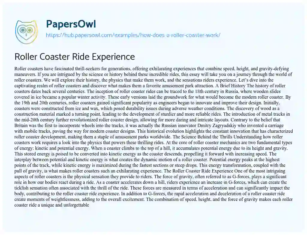 Essay on Roller Coaster Ride Experience