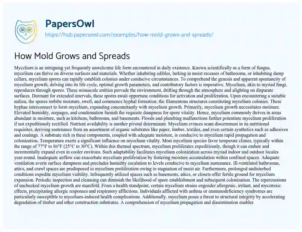 Essay on How Mold Grows and Spreads