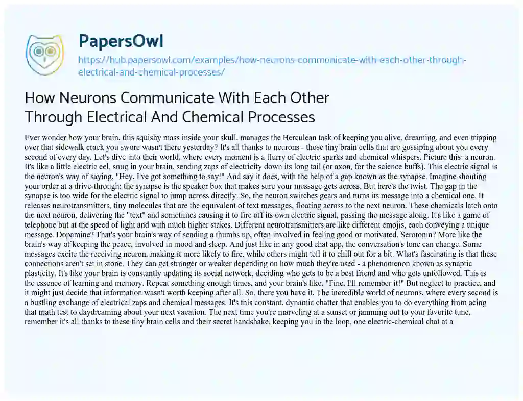 Essay on How Neurons Communicate With Each Other Through Electrical And Chemical Processes