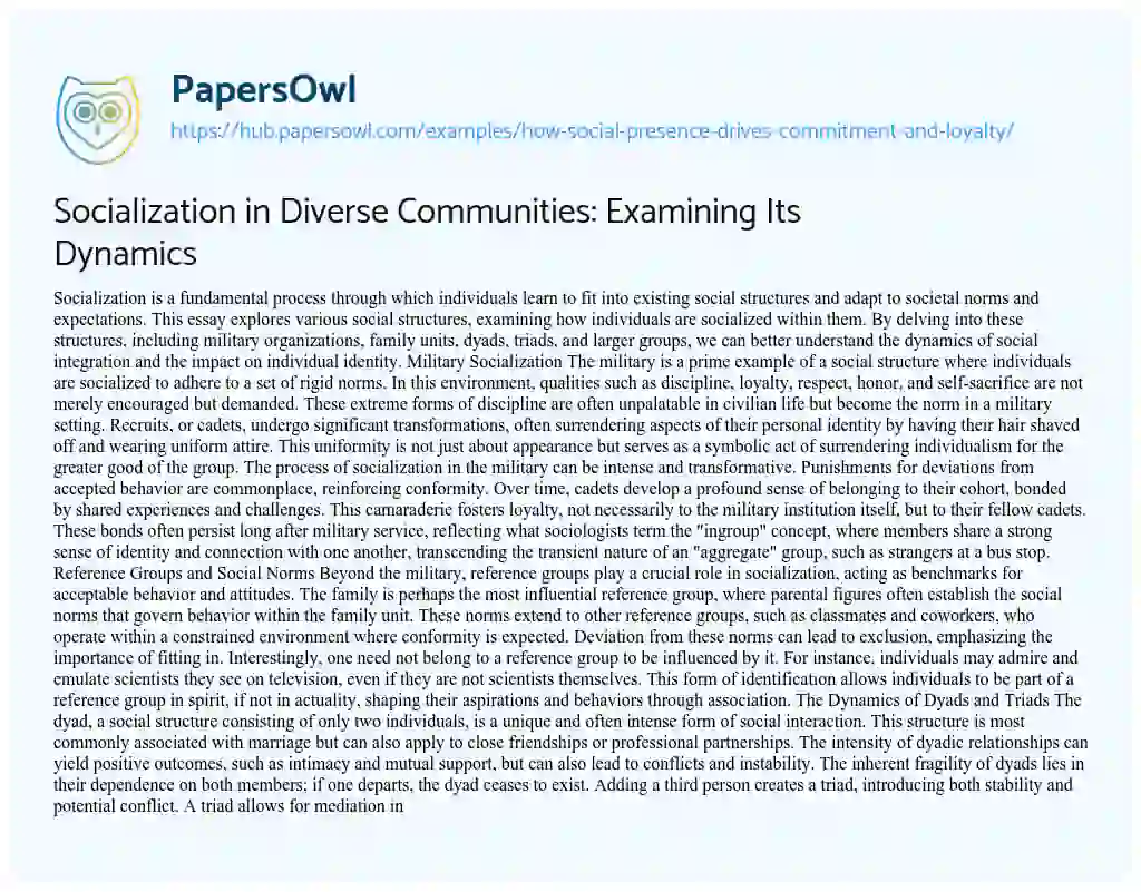 Essay on Socialization in Diverse Communities: Examining Its Dynamics