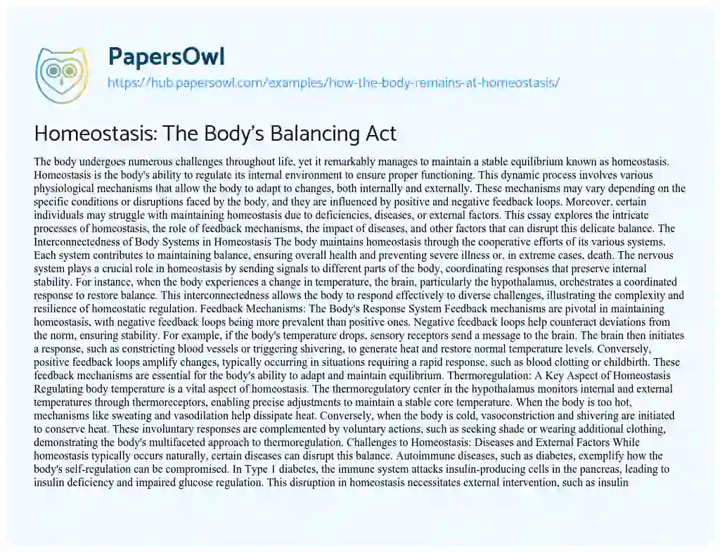Essay on Homeostasis: The Body’s Balancing Act