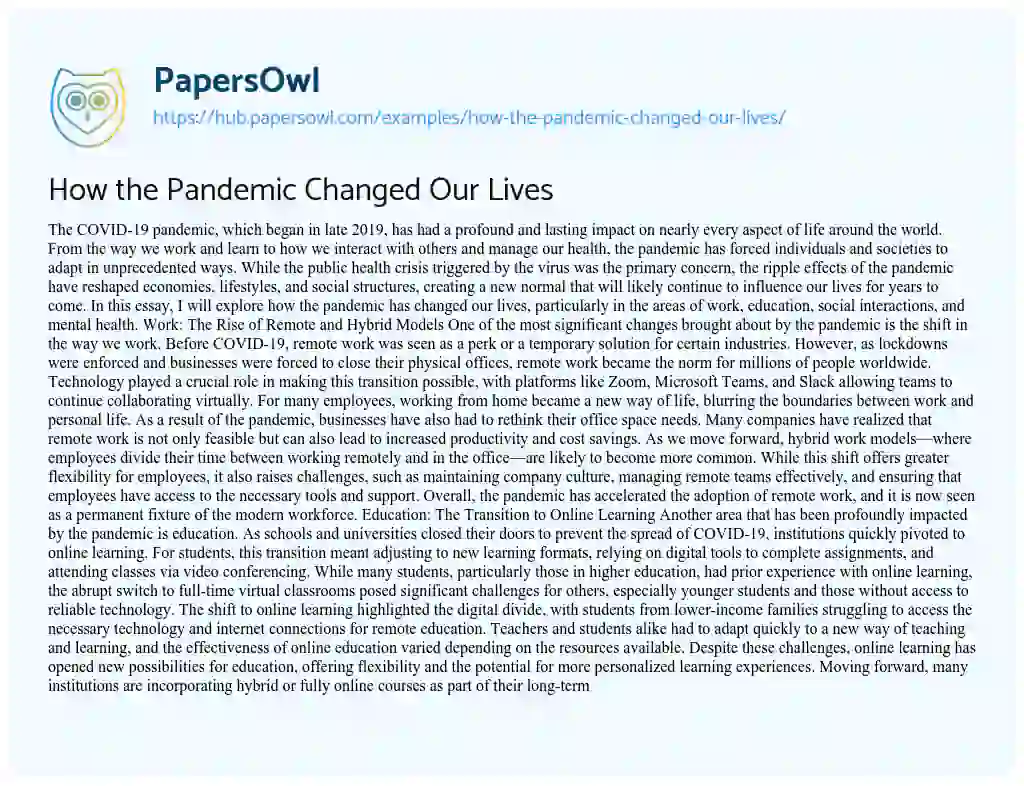 Essay on How the Pandemic Changed Our Lives