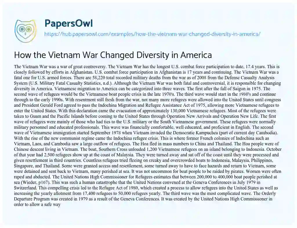 Essay on How the Vietnam War Changed Diversity in America