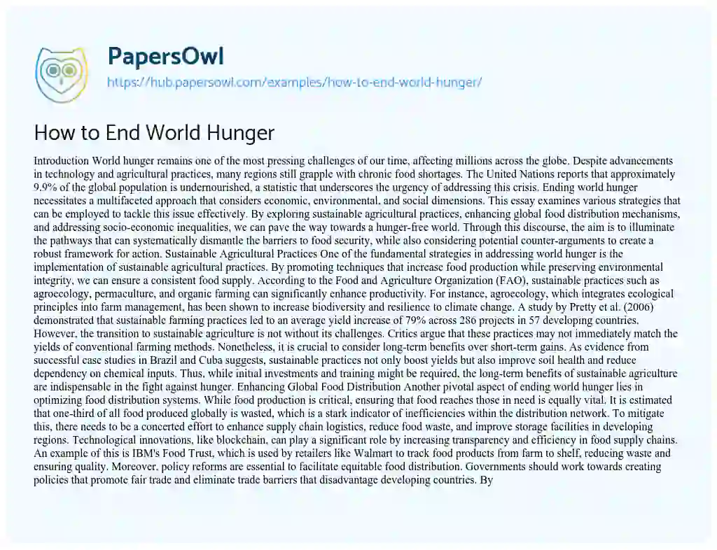 Essay on How to End World Hunger