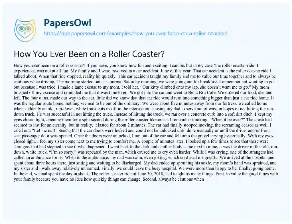 Essay on How You Ever Been on a Roller Coaster?