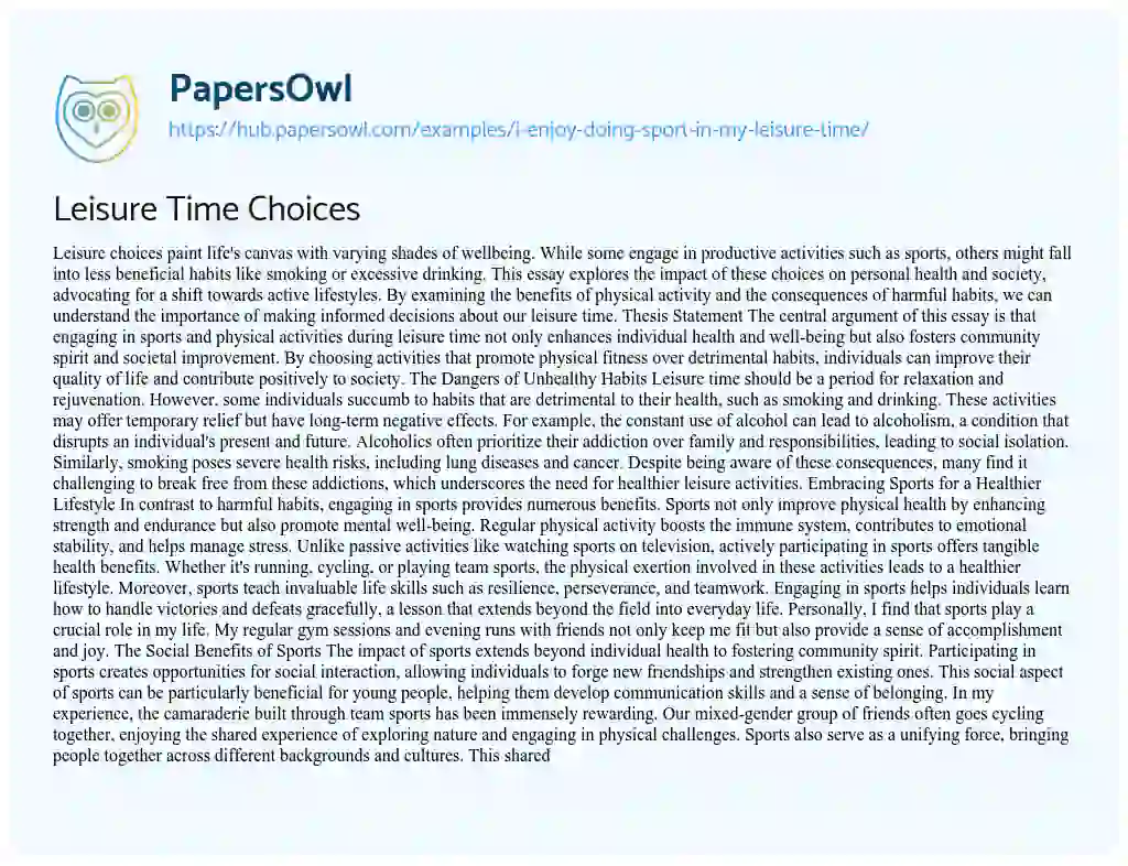 Essay on Leisure Time Choices