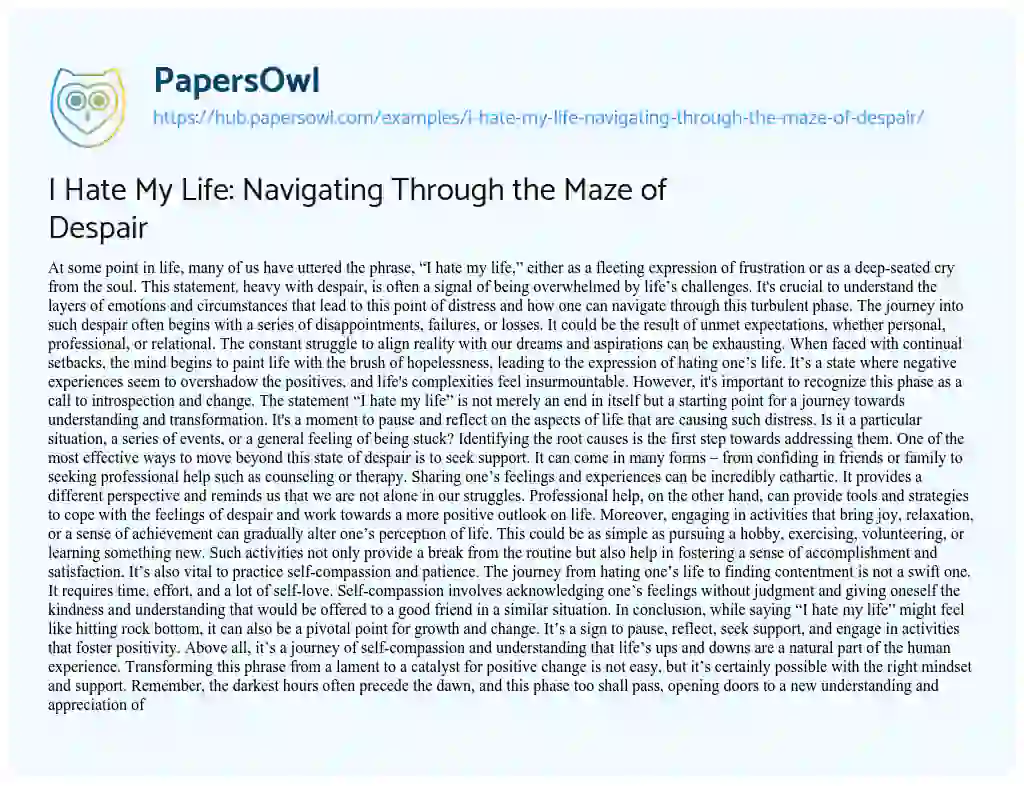 Essay on I Hate My Life: Navigating Through the Maze of Despair