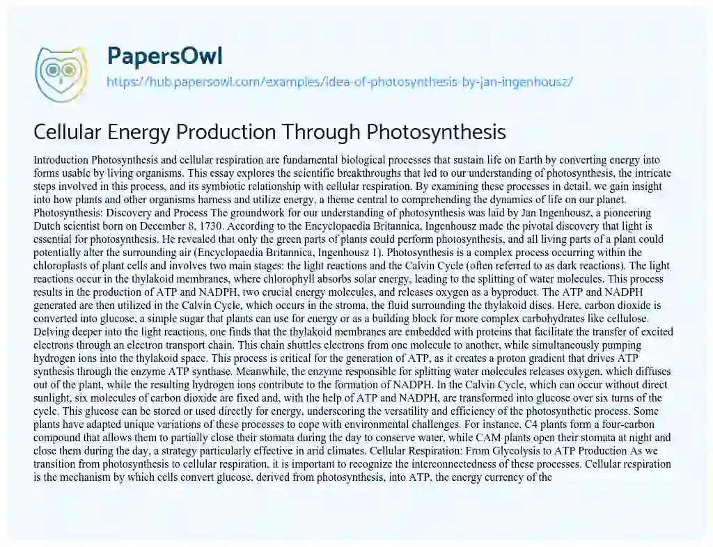 Essay on Cellular Energy Production Through Photosynthesis