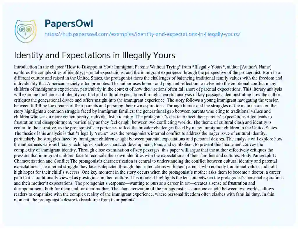 Essay on Identity and Expectations in Illegally Yours