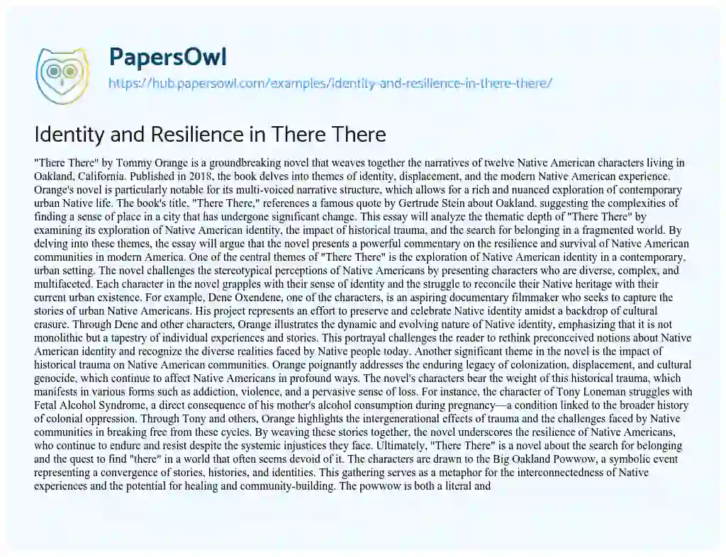 Essay on Identity and Resilience in There There