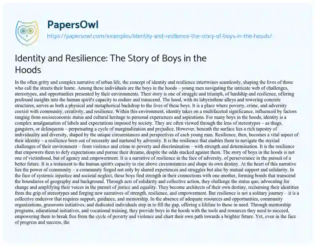 Essay on Identity and Resilience: The Story of Boys in the Hoods