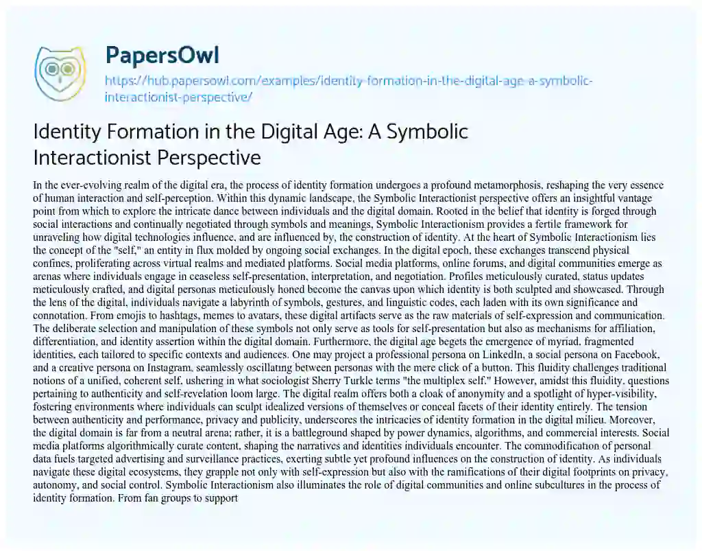 Essay on Identity Formation in the Digital Age: A Symbolic Interactionist Perspective