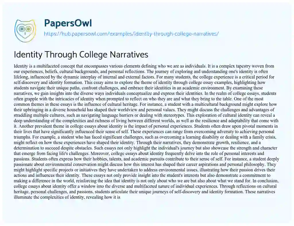 Essay on Identity Through College Narratives