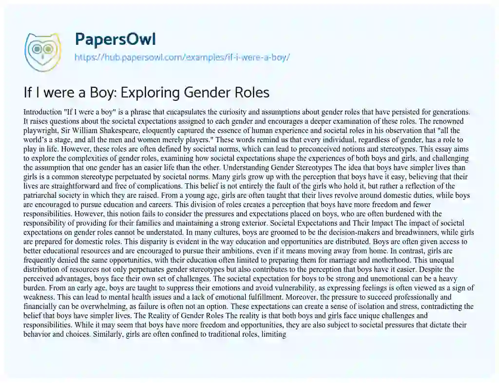 Essay on If I were a Boy: Exploring Gender Roles
