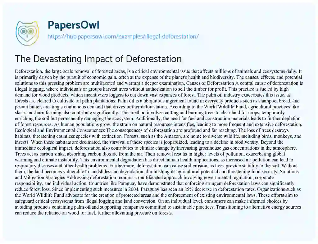 Essay on The Devastating Impact of Deforestation
