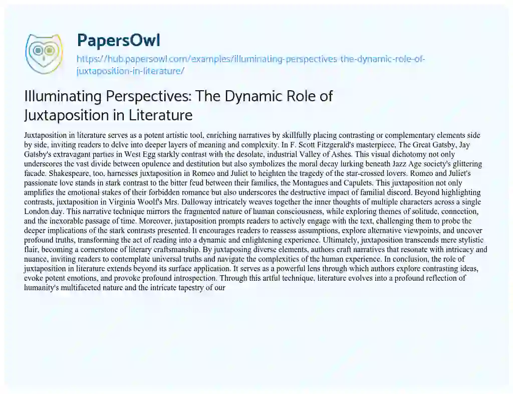 Essay on Illuminating Perspectives: The Dynamic Role of Juxtaposition in Literature
