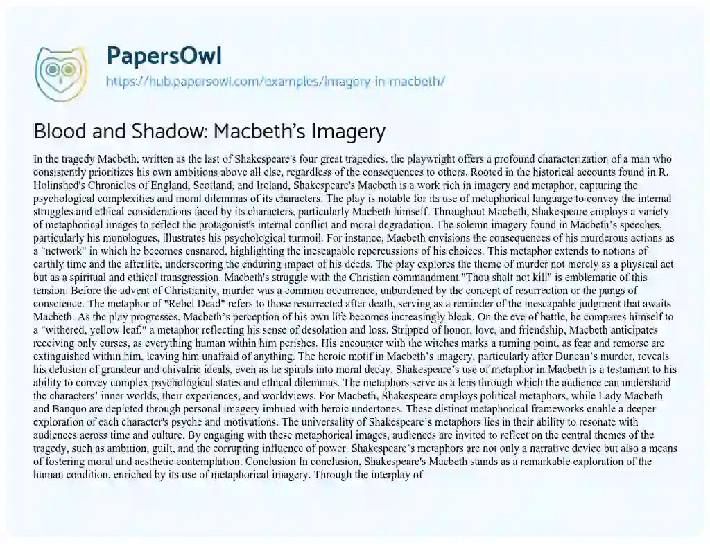 Essay on Blood and Shadow: Macbeth’s Imagery