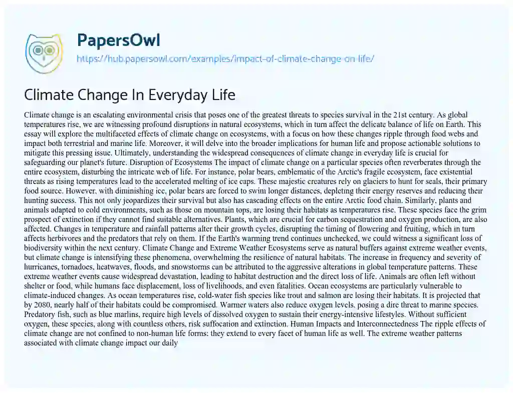 Essay on Climate Change In Everyday Life