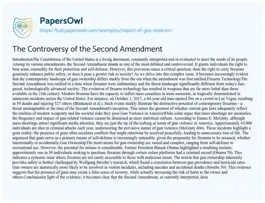 Essay on The Controversy of the Second Amendment