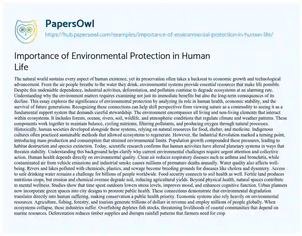 Essay on Importance of Environmental Protection in Human Life