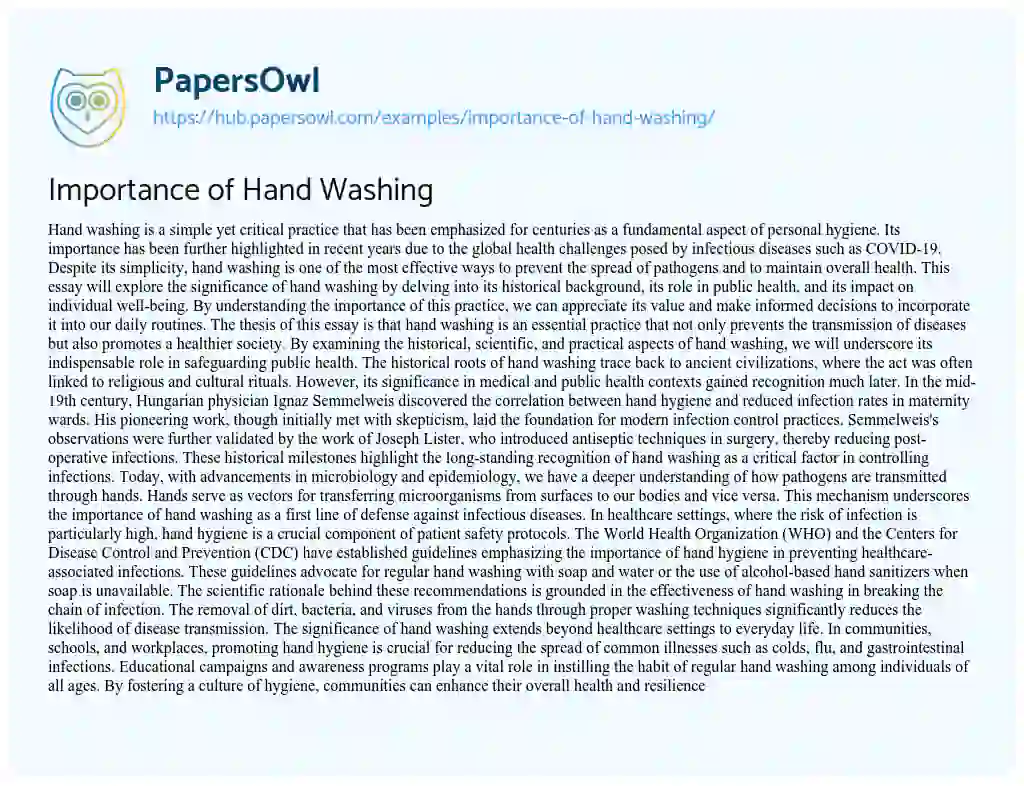 Essay on Importance of Hand Washing