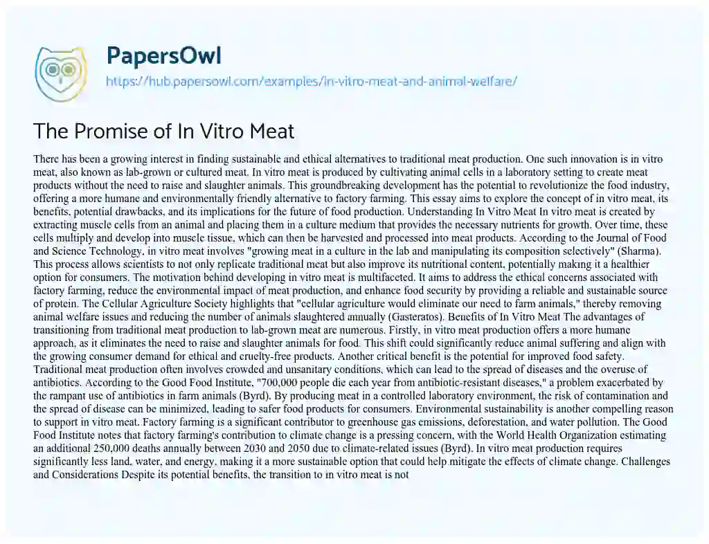 Essay on The Promise of In Vitro Meat