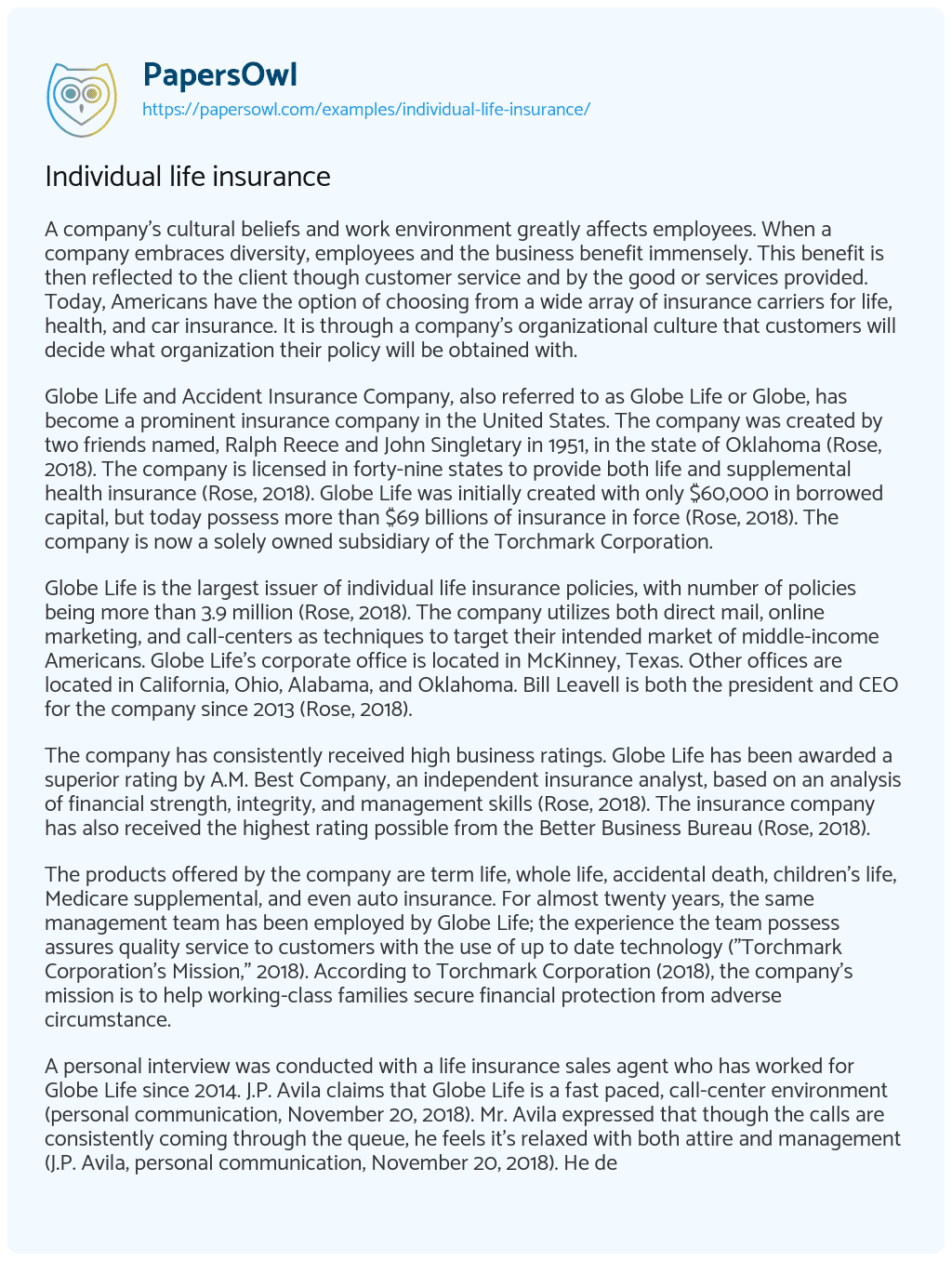 Essay on Individual life insurance