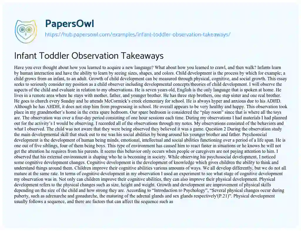 Essay on Infant Toddler Observation Takeaways