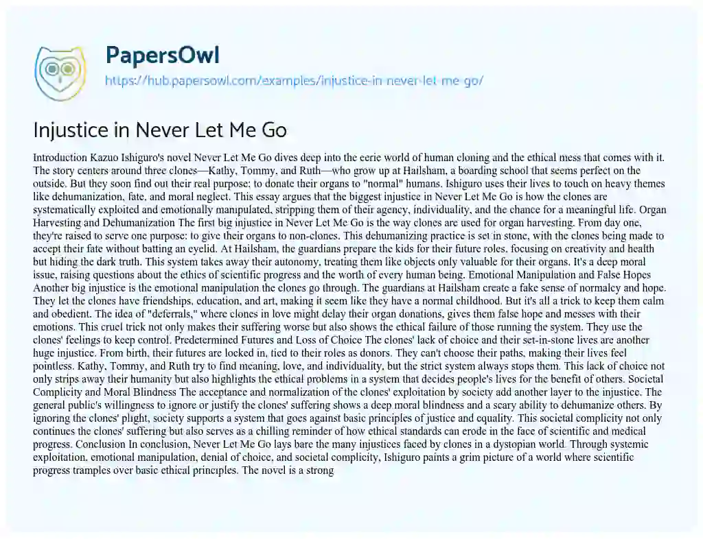 Essay on Injustice in Never Let Me Go